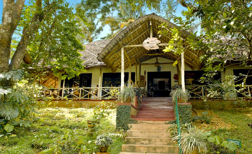 Spice Village